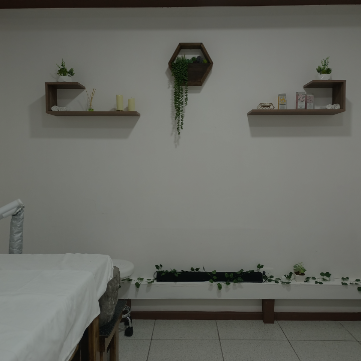 Proyecto Cabina Capilessa